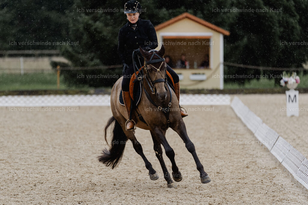 Katja7_FHC2025-8491 | working equitationturnier fotograf videograf stoibphotography marixx film working equitation deutschland reitsport turnierfotografie eventfotografie equestrian events