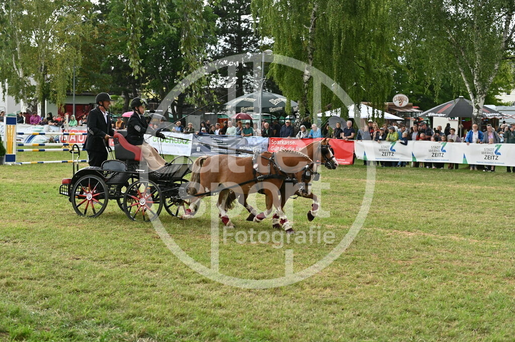 DSC_4521 | sattelsport - Realisiert mit Pictrs.com