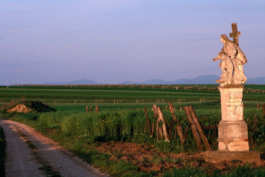 Feldweg durch das Weingebiet | Austria: Feldweg durch das Weingebiet mit Heiliger Figur am Rand. - Realisiert mit Pictrs.com