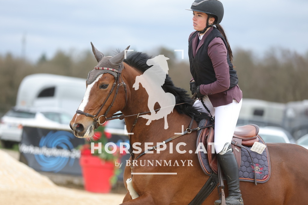 0P6A2899 | Willkommen bei Brunnmayr - Design & Fotografie – Ihrem Spezialisten für Reitturniere und Pferdeveranstaltungen in Oberösterreich, Salzburg und Bayern! Seit über 17 Jahren sind wir leidenschaftlich dabei.