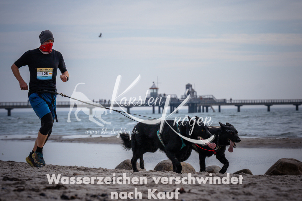 1052_ZZ96384 | kk-dogfotos