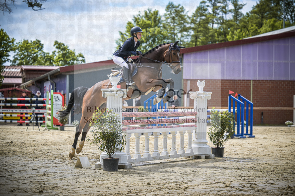 DOS_7535 | Entdecke hochwertige Reitturnierfotos von Foto Oger. Professionell, emotional und authentisch – jetzt Lieblingsmomente im Shop bestellen.Deutschlandweite Turnierfotografie. - Realisiert mit Pictrs.com