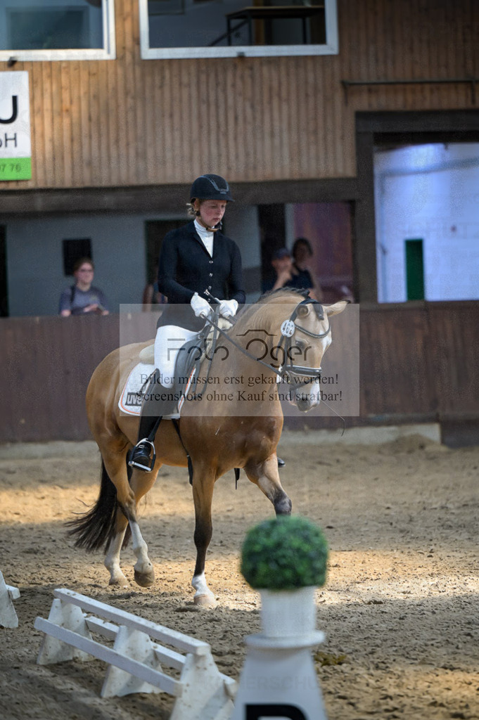 Reitturnier Voxtrup | Entdecke hochwertige Reitturnierfotos von Foto Oger. Professionell, emotional und authentisch – jetzt Lieblingsmomente im Shop bestellen.Deutschlandweite Turnierfotografie. - Realisiert mit Pictrs.com