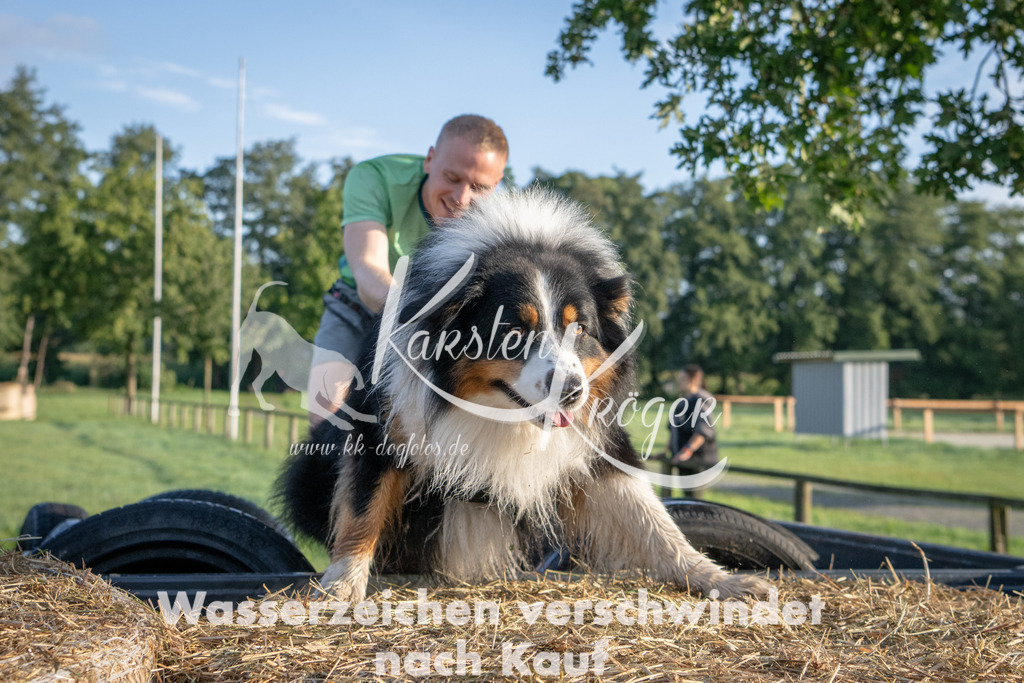 0830_ZZ91762 | kk-dogfotos