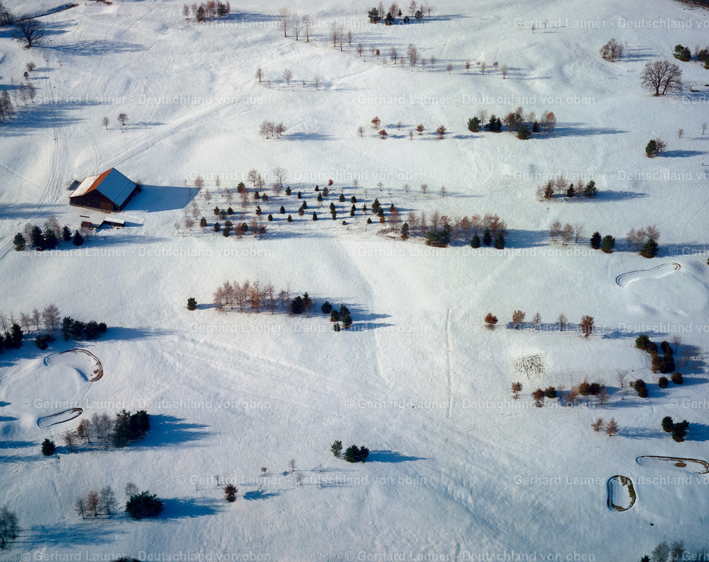 9300153 | Baumstrukturen bei Halblech, Winteraufnahme
