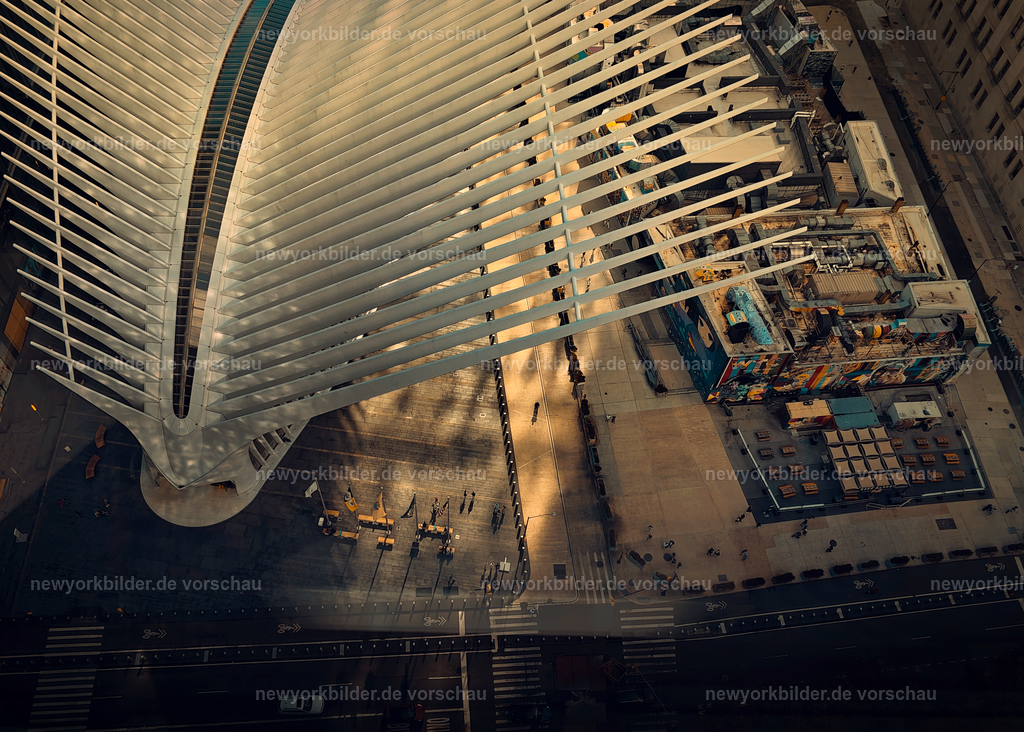 Oculus in New York bei Sonnenaufgang – Architektonisches Meisterwerk in Manhattan | Das Oculus in New York erstrahlt im goldenen Licht des Sonnenaufgangs – ein architektonisches Meisterwerk von Santiago Calatrava. Die eleganten weißen Flügel symbolisieren Freiheit und Bewegung, während die ersten Strahlen den futuristischen Bau in ein warmes Leuchten tauchen. Ein magischer Moment im Herzen von Manhattan.