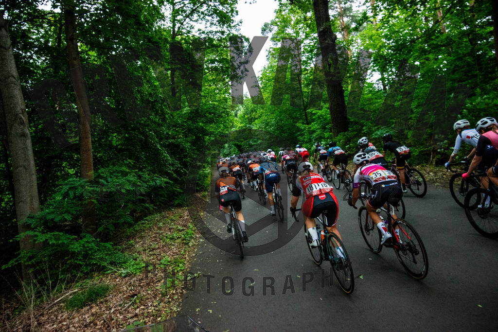 _DK80954 | Drew Kaplan Photography