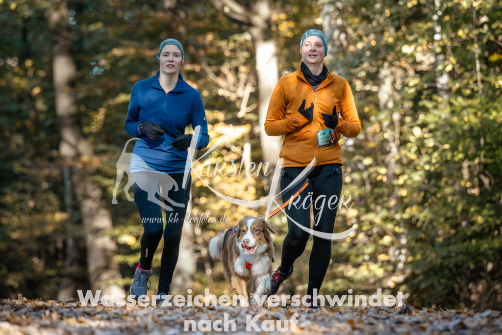 1040_ZZ90656 | kk-dogfotos