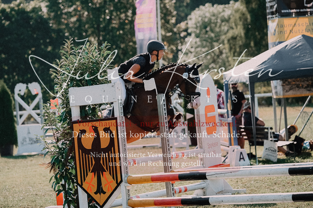 DSC_4744 | Pferde- und Turnierfotografie in Westsachsen. Pferdeportraits, Auftragszeichnungen und intuitive Kunst.