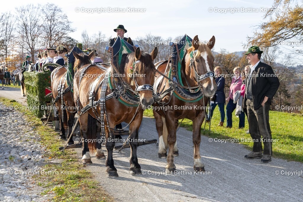 LBT24-1365 | foto-bettina-krinner - Realisiert mit Pictrs.com