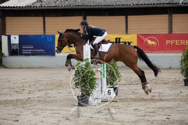 2B4A1525 | pixelfaenger - Realisiert mit Pictrs.com