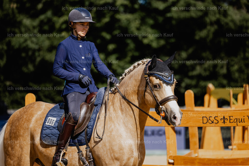 Diana11_FHC2025-27564 | working equitationturnier fotograf videograf stoibphotography marixx film working equitation deutschland reitsport turnierfotografie eventfotografie equestrian events