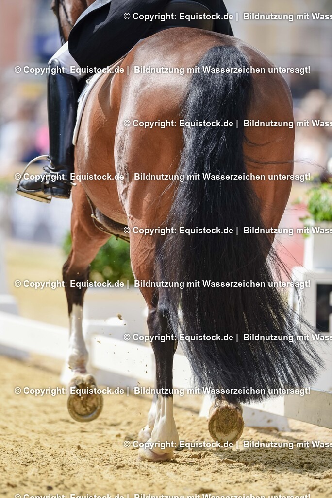 20250607_1_GP-Tour_Dressage_0186 | Foto: Thomas Hartig