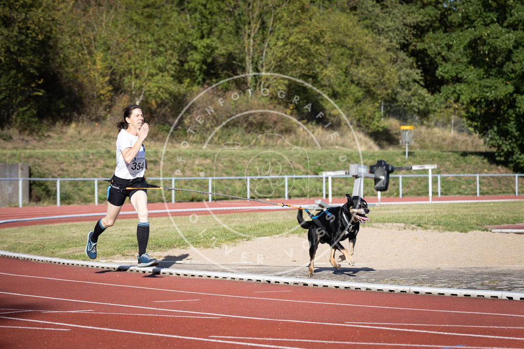Pfotenfotografie_DV3A0013 | Hundefotografie, Tierfotograf, Pfotenfotografie, Fotoshooting Hund, Hunde Portrait, Hundesport, Hundeportraits, Heideshooting, Hunde, Sportfotograf, Hundefotograf, Turnierhundsport, THS,  - Realisiert mit Pictrs.com