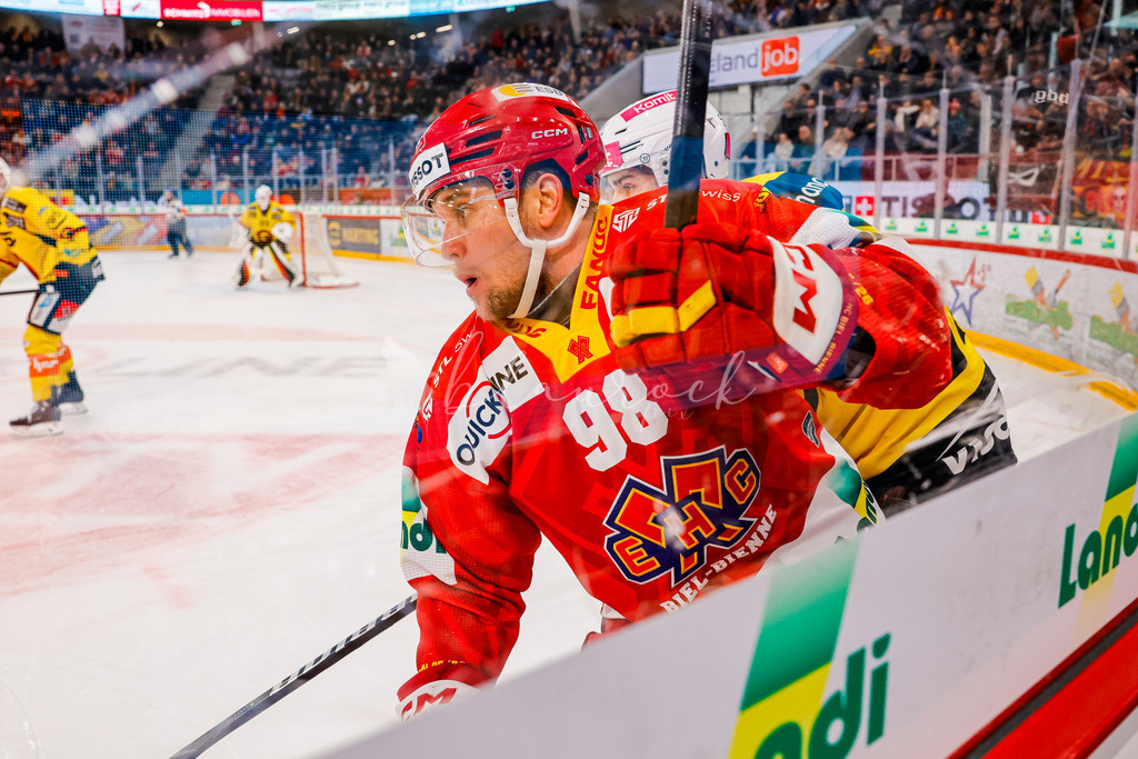 EHCB vs SCB 20260110_wb-3332 | Sportbilder, Sportfotograf, Hochzeits- und Eventfotografin, Flugshows, Portraits und Tiershooting, Aviation, Downhill, Nationalleague, Swissleague, International