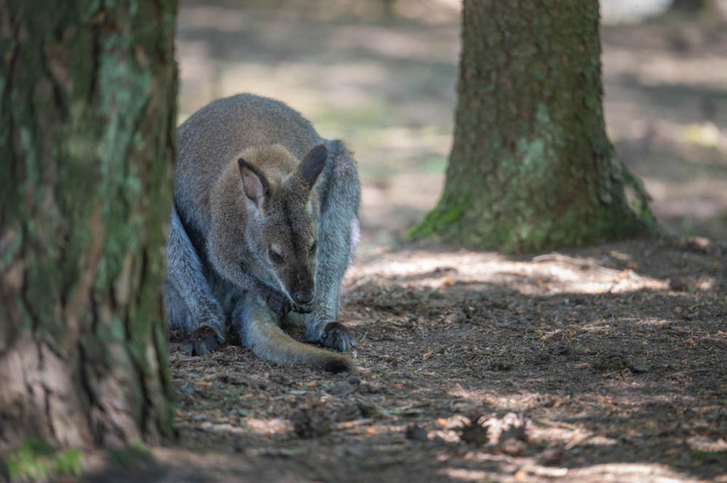 Stukenbrock, Deutschland | Die schönsten Bilder für Ihre Räume online bestellen! In unseren Bildergalerien findet Sie alles was es für Ihre Räume braucht. Lassen Sie sich überraschen ☺️ - Realisiert mit Pictrs.com