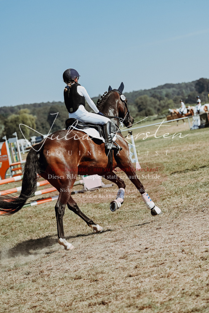 DSC_9795 | Pferde- und Turnierfotografie in Westsachsen. Pferdeportraits, Auftragszeichnungen und intuitive Kunst.
