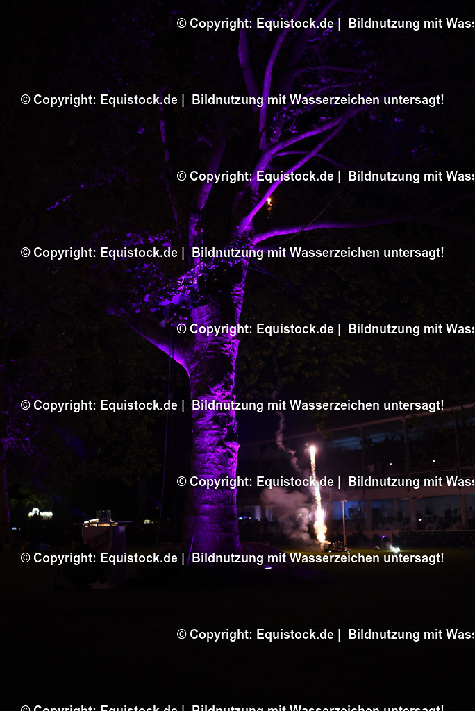 20230526_Pferdenacht_1596 | equistock