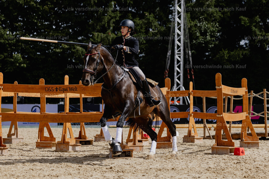 Virginie12FHC2025-20640 | working equitationturnier fotograf videograf stoibphotography marixx film working equitation deutschland reitsport turnierfotografie eventfotografie equestrian events