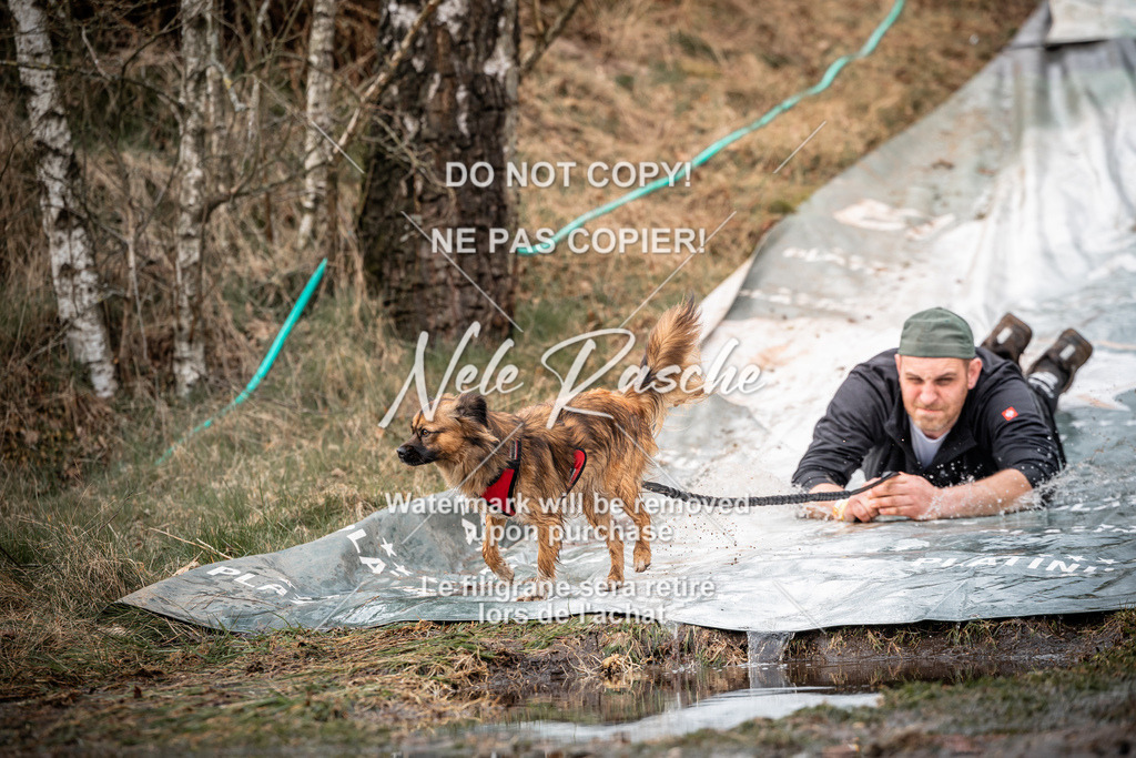 nelerasche_1430-1500_265 | nelerasche