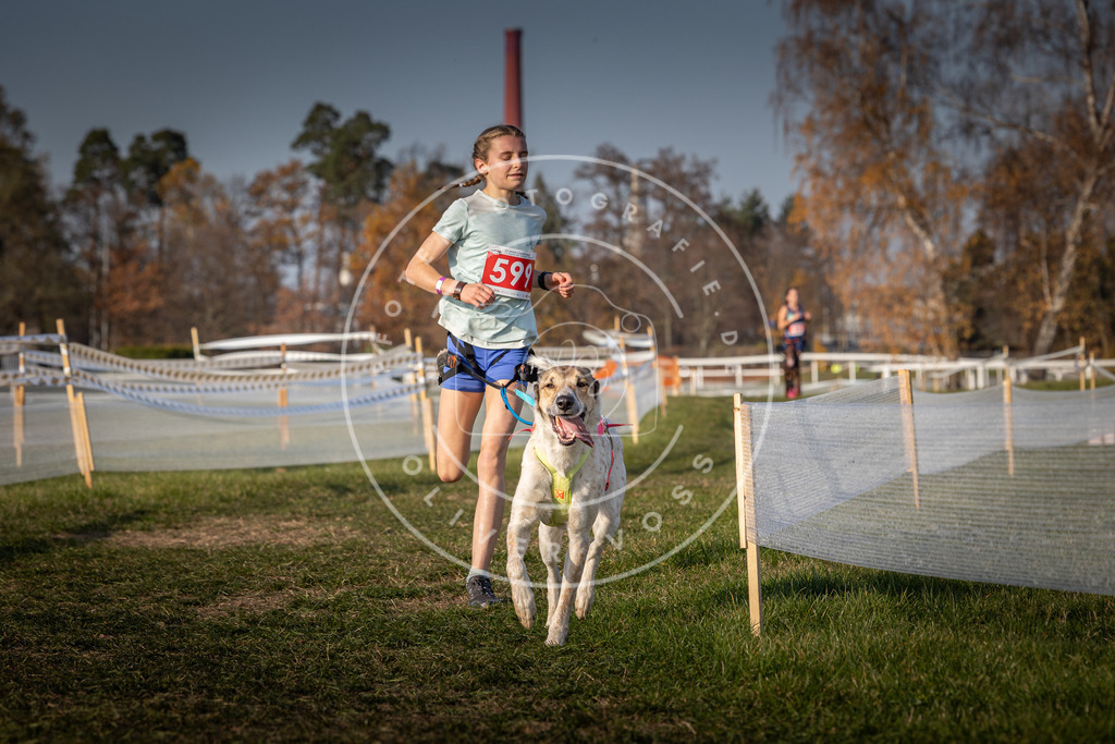 CaniXpix_0L8A0033 | Hundefotografie, Tierfotograf, Pfotenfotografie, Fotoshooting Hund, Hunde Portrait, Hundesport, Hundeportraits, Heideshooting, Hunde, Sportfotograf, Hundefotograf, Turnierhundsport, THS,  - Realisiert mit Pictrs.com