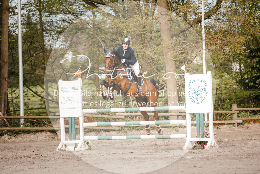 3I6A3285 | Stimmungsvolle Portraits und Reitsportfotografie im Ruhrgebiet und im Münsterland.

Pferdefotografie, Hundefotografie, Tierfotografie, Reportagen, Portraits von Tier und Mensch, Turnierfotografie in Bochum, Recklinghausen, Marl, Haltern am See, Dülmen.. - Realisiert mit Pictrs.com