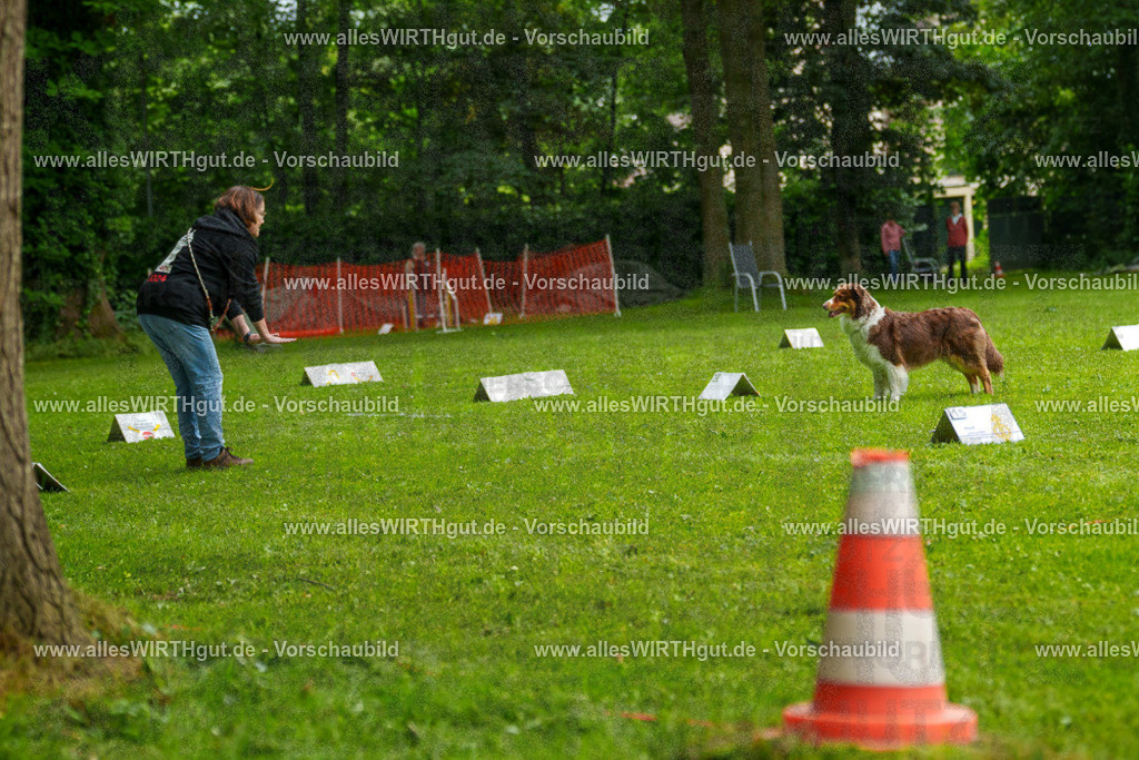 @allesWIRTHgut_Tierfotografie - www.allesWIRTHgut.de - 7R502573 | Professionelle Tierfotografie in Mönchengladbach von Daniel Wirth (allesWIRTHgut). Liebevolle & natürliche Bilder von Hunden & Katzen für unvergessliche Erinnerungen.