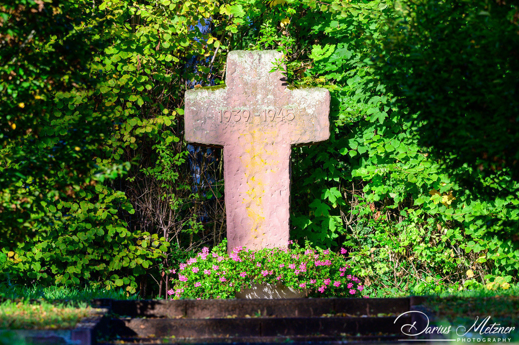Der alte Hauptfriedhof in Mainz | Der alte Hauptfriedhof in Mainz