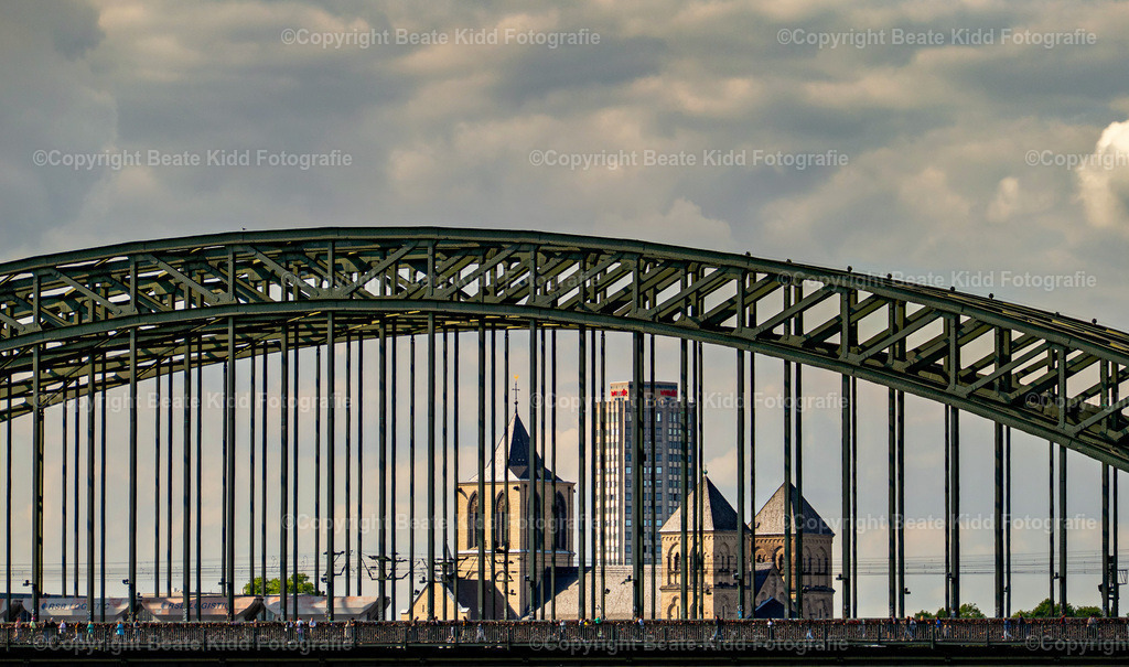 P1400217 | beatekidd-fotografie - Realisiert mit Pictrs.com