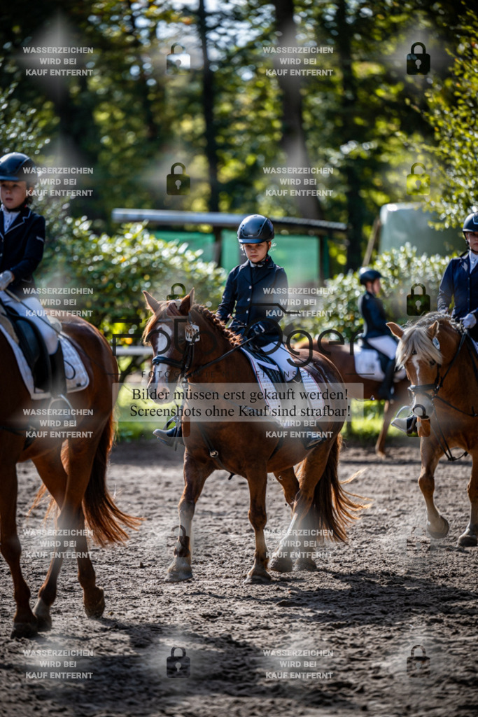 2026-10-Helle-20-4-0033 | Entdecke hochwertige Reitturnierfotos von Foto Oger. Professionell, emotional und authentisch – jetzt Lieblingsmomente im Shop bestellen.Deutschlandweite Turnierfotografie. - Realisiert mit Pictrs.com