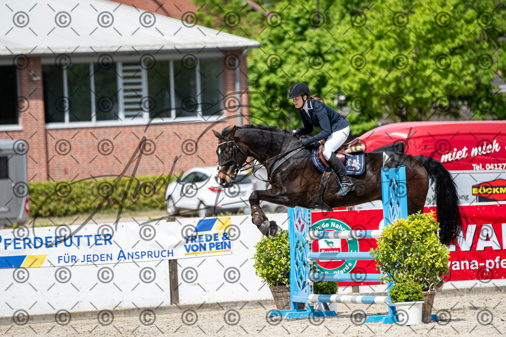 KPT_5656 | andre_photographic