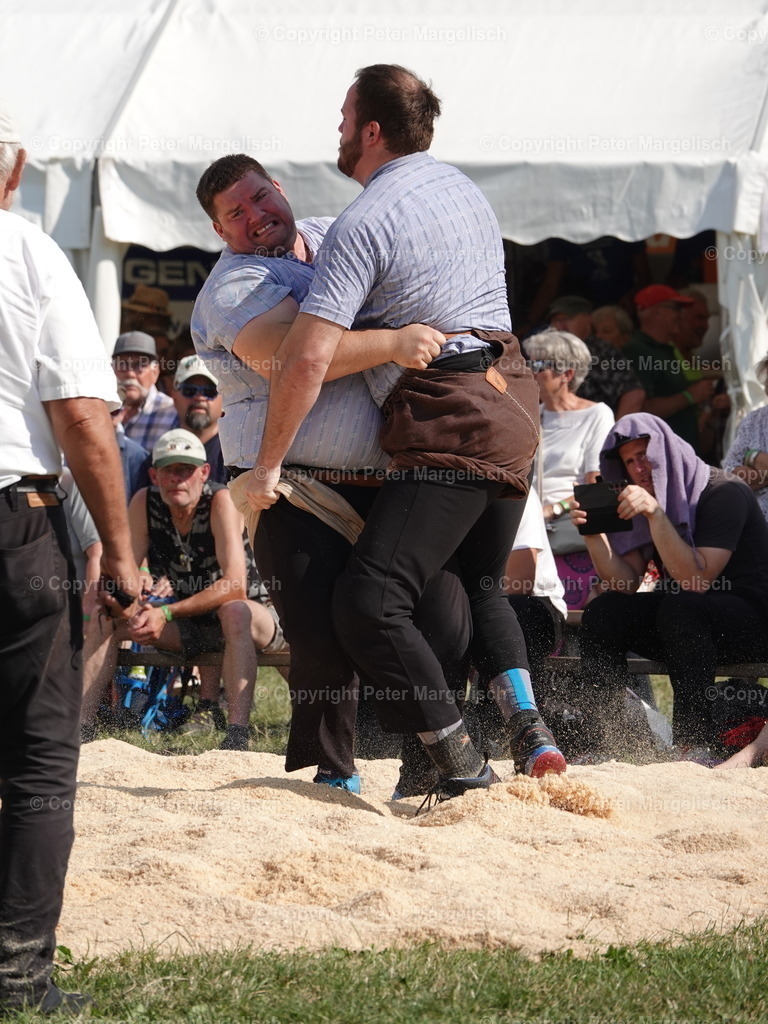 DSC05178 | Schwingen - Realisiert mit Pictrs.com