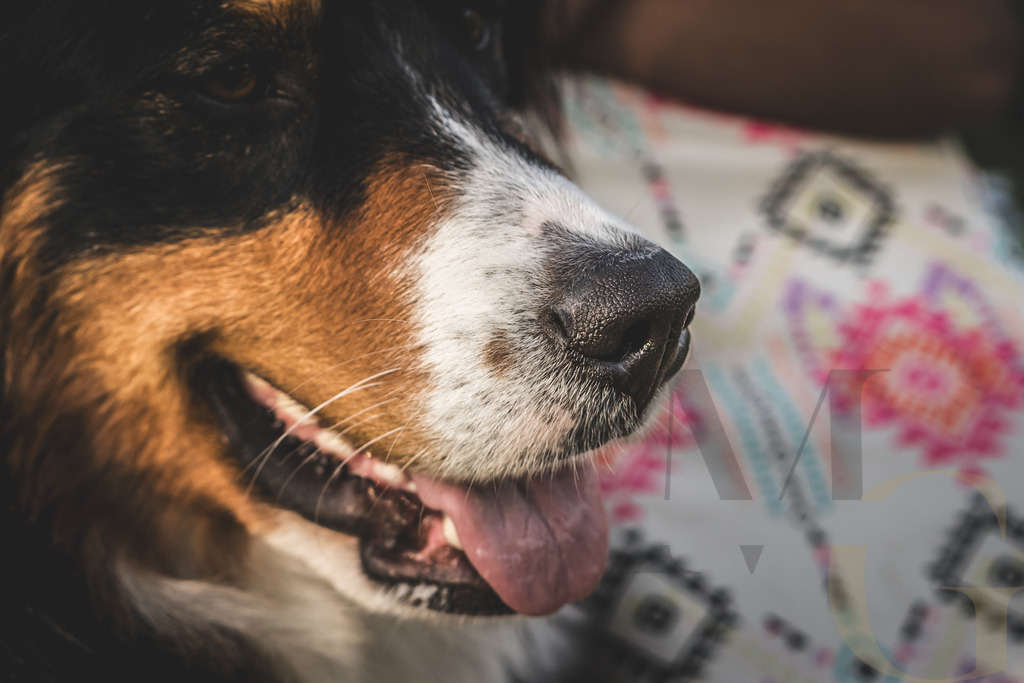 MGFoto-0198 | Newborn - Realisiert mit Pictrs.com