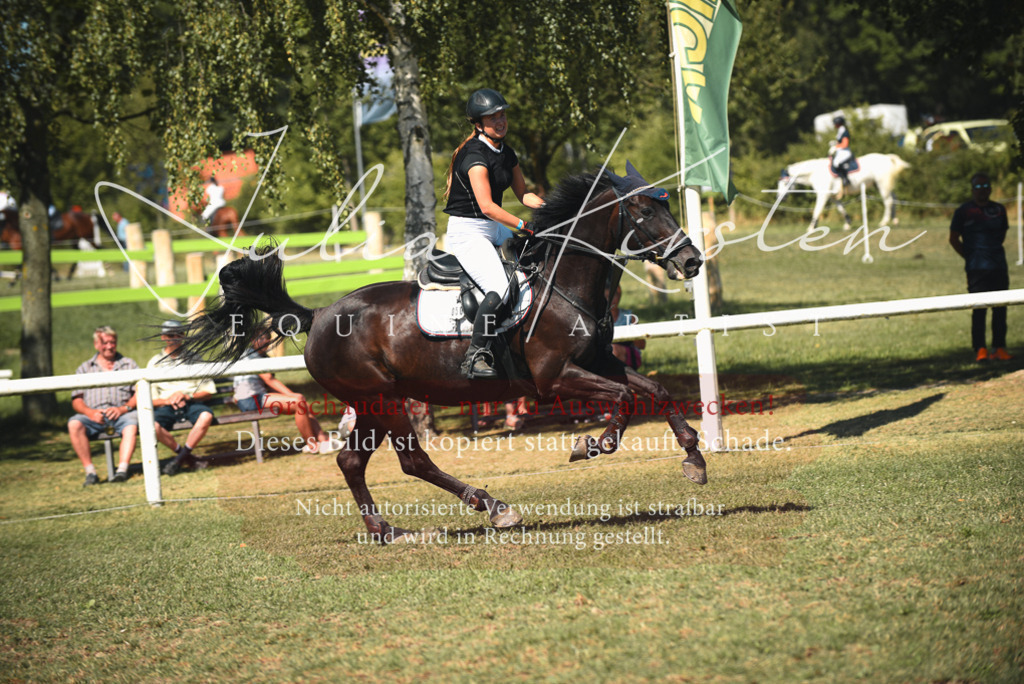 DSC_7069 | Pferde- und Turnierfotografie in Westsachsen. Pferdeportraits, Auftragszeichnungen und intuitive Kunst.