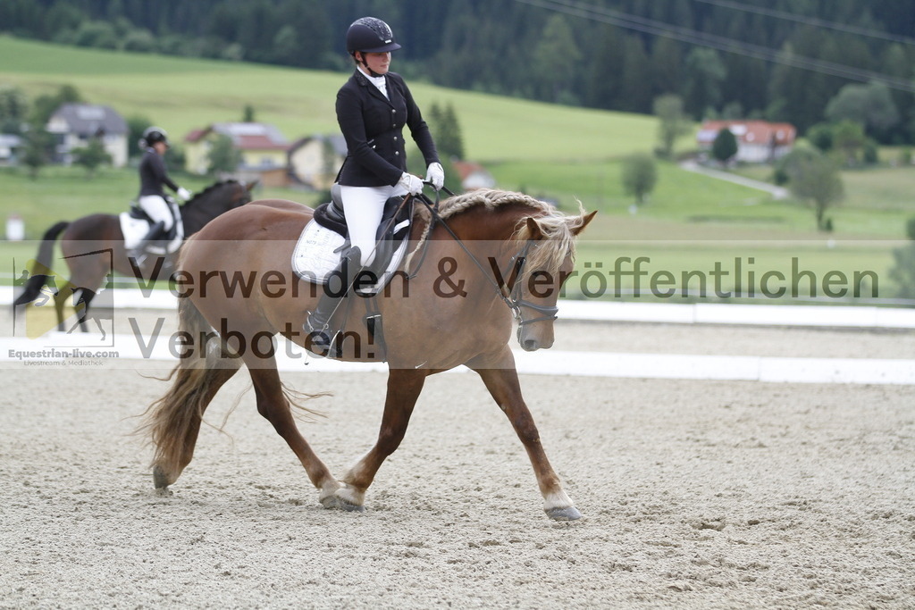 _MG_2951 | equestrian-live-com