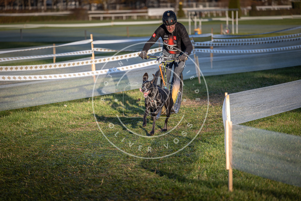 CaniXpix_0L8A3166 | Hundefotografie, Tierfotograf, Pfotenfotografie, Fotoshooting Hund, Hunde Portrait, Hundesport, Hundeportraits, Heideshooting, Hunde, Sportfotograf, Hundefotograf, Turnierhundsport, THS,  - Realisiert mit Pictrs.com