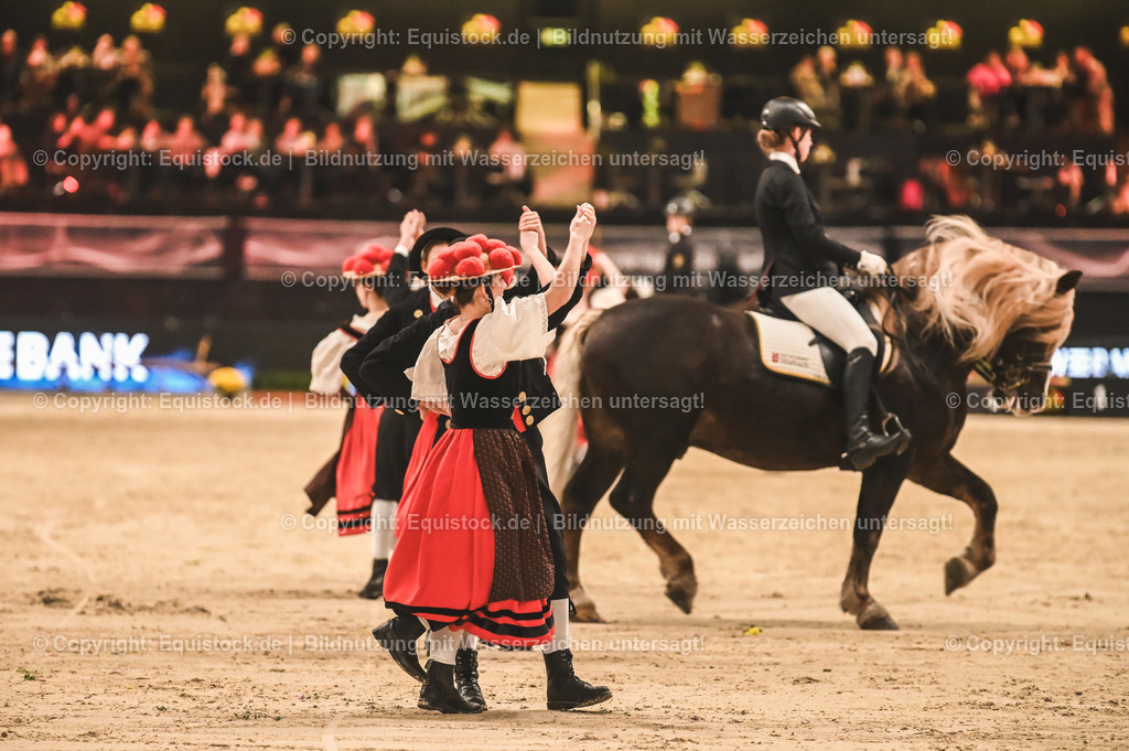 20241113_Showabend_TOMsPiC_0258 | Foto: Thomas Hartig