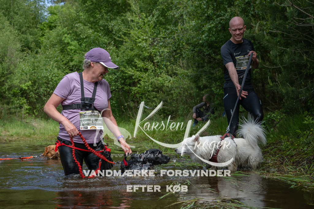 1127DKK990258 | kk-dogfotos