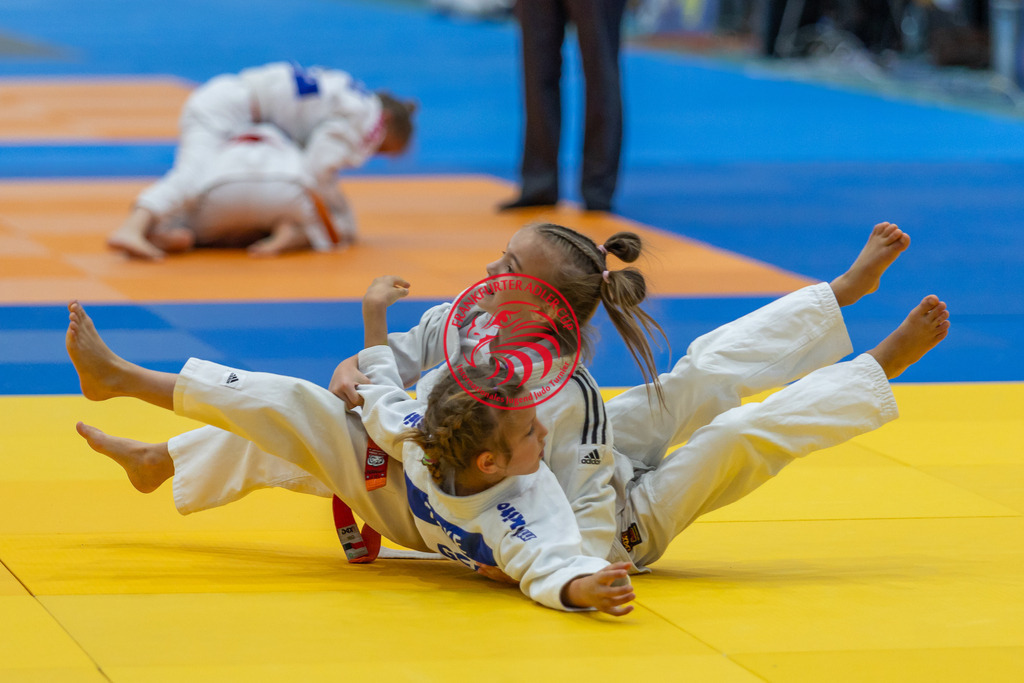 Internationaler Adler Cup 2024 | Foto vom Internationalen Adler Cup Judo Turnier im Sport- und Freizeitzentrum Kalbach im Oktober 2024 - Realisiert mit Pictrs.com