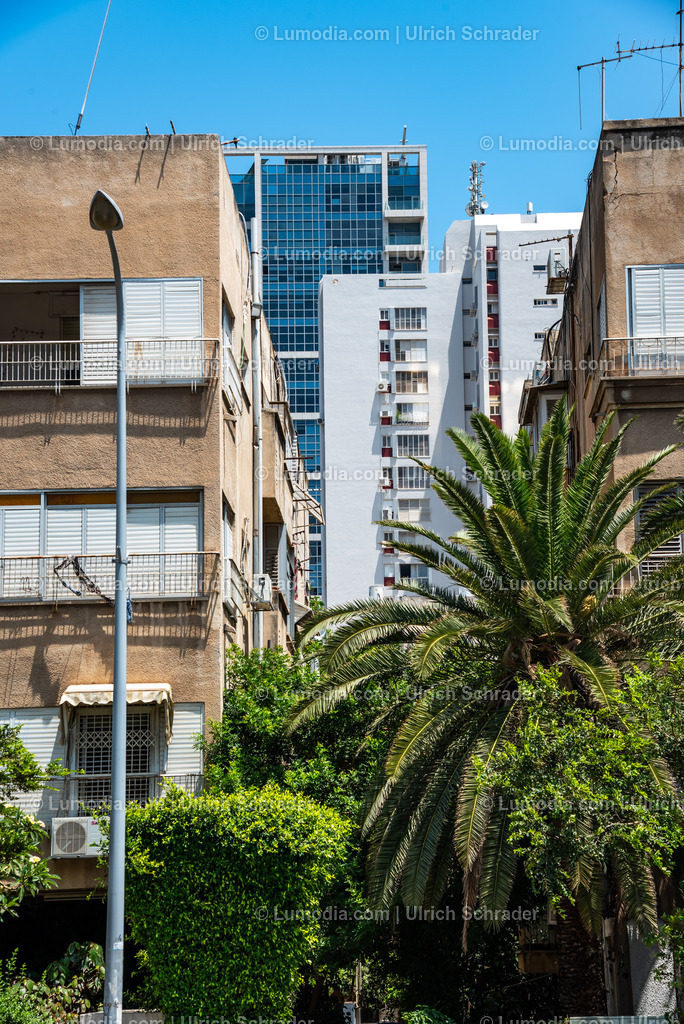 10972-10121 - Tel Aviv - Rothschild Boulevard | Stockfoto und Bilderpool mit Bildmaterial aus Deutschland, dem Harz, Halberstadt, Quedlinburg, Wernigerode und weltweit. Qualitativ hochwertige und professionelle Fotos anschauen und kaufen. - Realisiert mit Pictrs.com