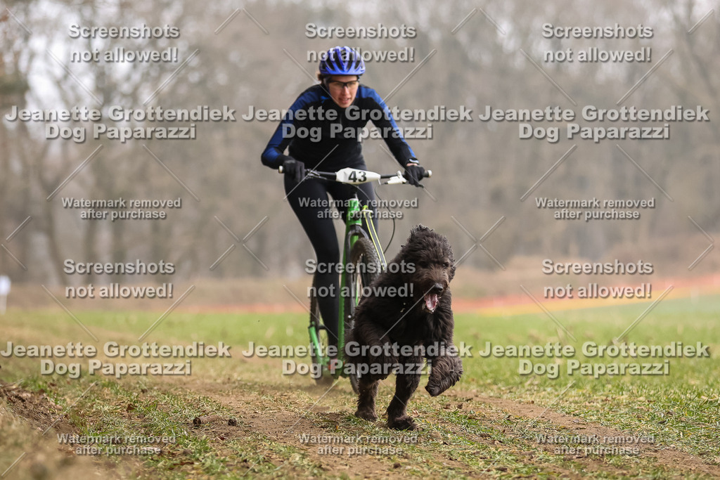Dog Paparazzi - Plate 2026-137 | Dog Paparazzi Jeanette Grottendiek Fotografie & Videografie - Realisiert mit Pictrs.com