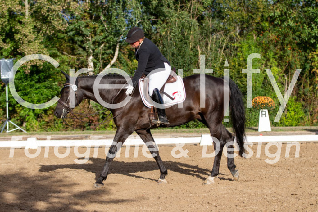 IMG_6291 | Creatify Fotografie