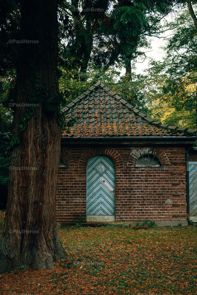 20221020_PaulHense_S0056_DSC00171 | paulhense - Realisiert mit Pictrs.com