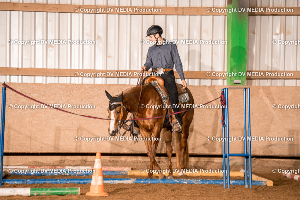 BA400010 | dv-media-shop - Realisiert mit Pictrs.com