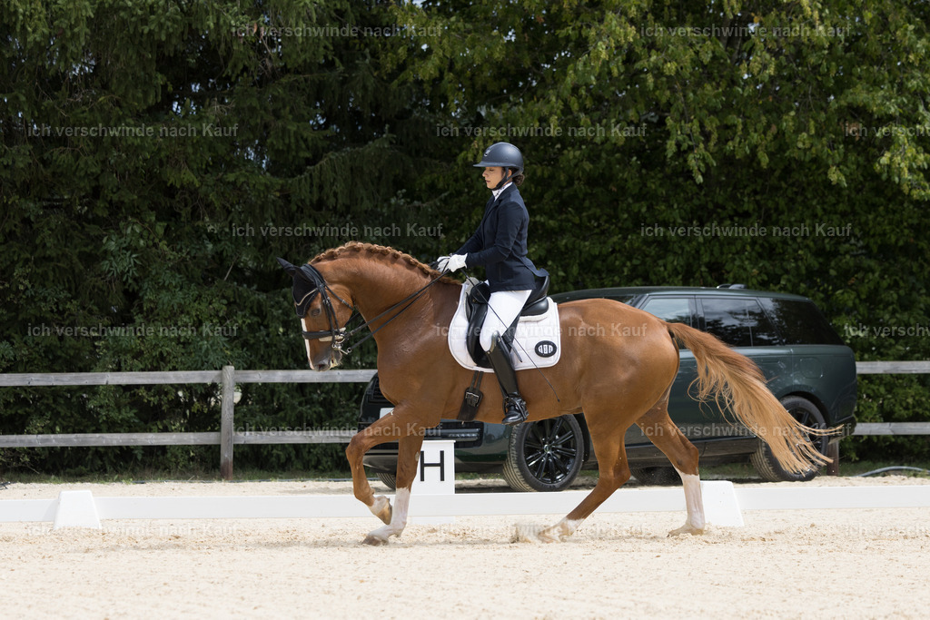 FHC2026_P02_134_13971 | Fichtenhof Classics 2026 – Dressurturnier, Reitanlage Fichtenhof, Schäftlarn