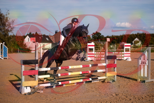 2026_10_03_Siefer-Hof_171517_Z81_12328371 | Professionelle Reitsport-, Turnier- und Eventfotografie von Robert Broda. Galerien mit ausgewählten und bearbeiteten Bildern direkt online ansehen und bestellen.