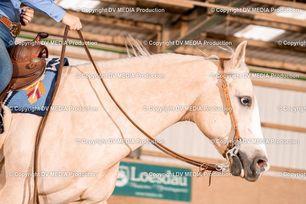 BA400268 | dv-media-shop - Realisiert mit Pictrs.com