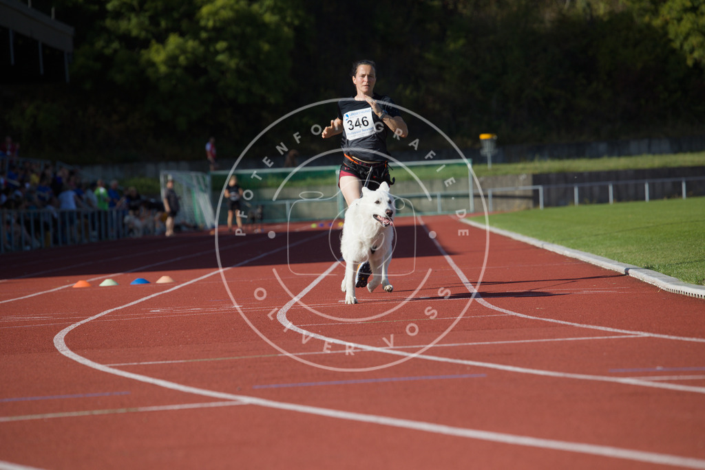0L8A9396 | Hundefotografie, Tierfotograf, Pfotenfotografie, Fotoshooting Hund, Hunde Portrait, Hundesport, Hundeportraits, Heideshooting, Hunde, Sportfotograf, Hundefotograf, Turnierhundsport, THS,  - Realisiert mit Pictrs.com