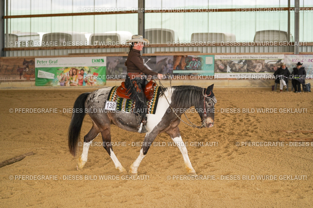 DSC04764 | Pferdegrafie