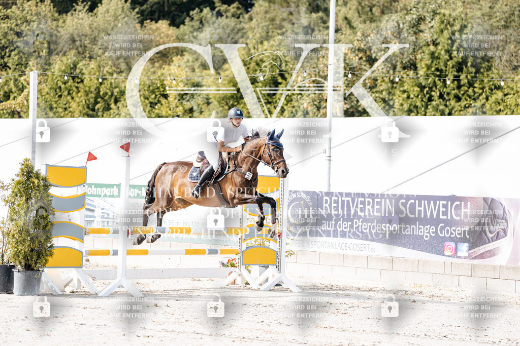 CK905450 | Turnierfotografie Pferdefotografie Trier Rheinland-Pfalz Pferdesport Reitsport Tierfotografie Sportfotografie Pferdevideo Pferdevideografie Equestrianvideography equestrianphotography  - Realisiert mit Pictrs.com